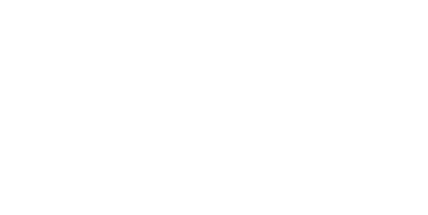 Manor Lords